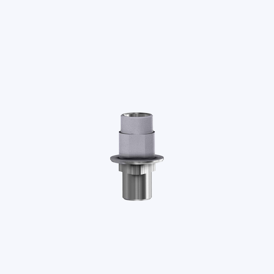 Ti-Base for milled Zirconia Abutment. 3i certain 5.0 mm WP + Abutment Screw